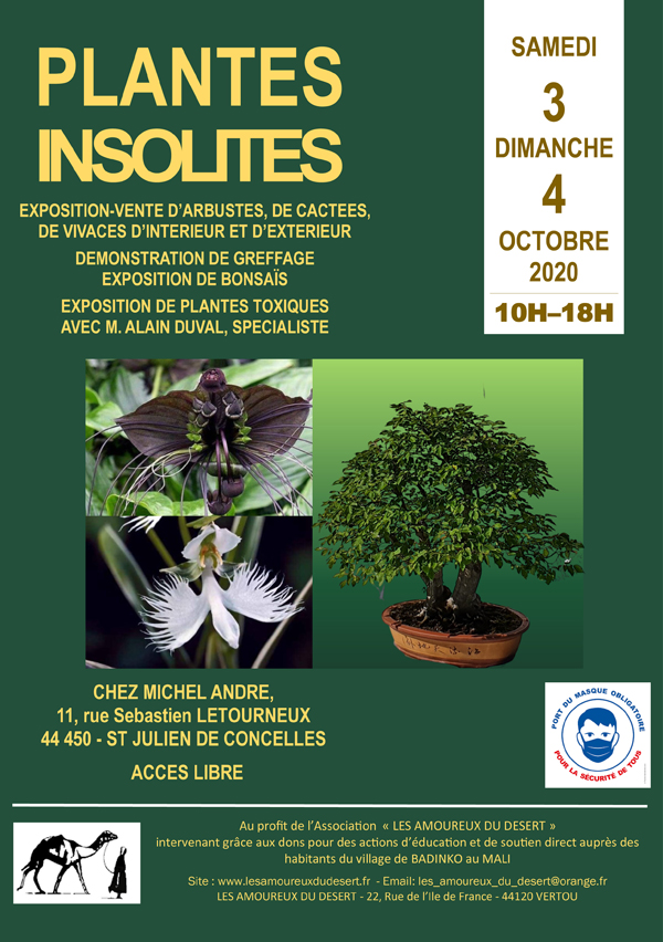 AffichePlantesInsolites2020 b