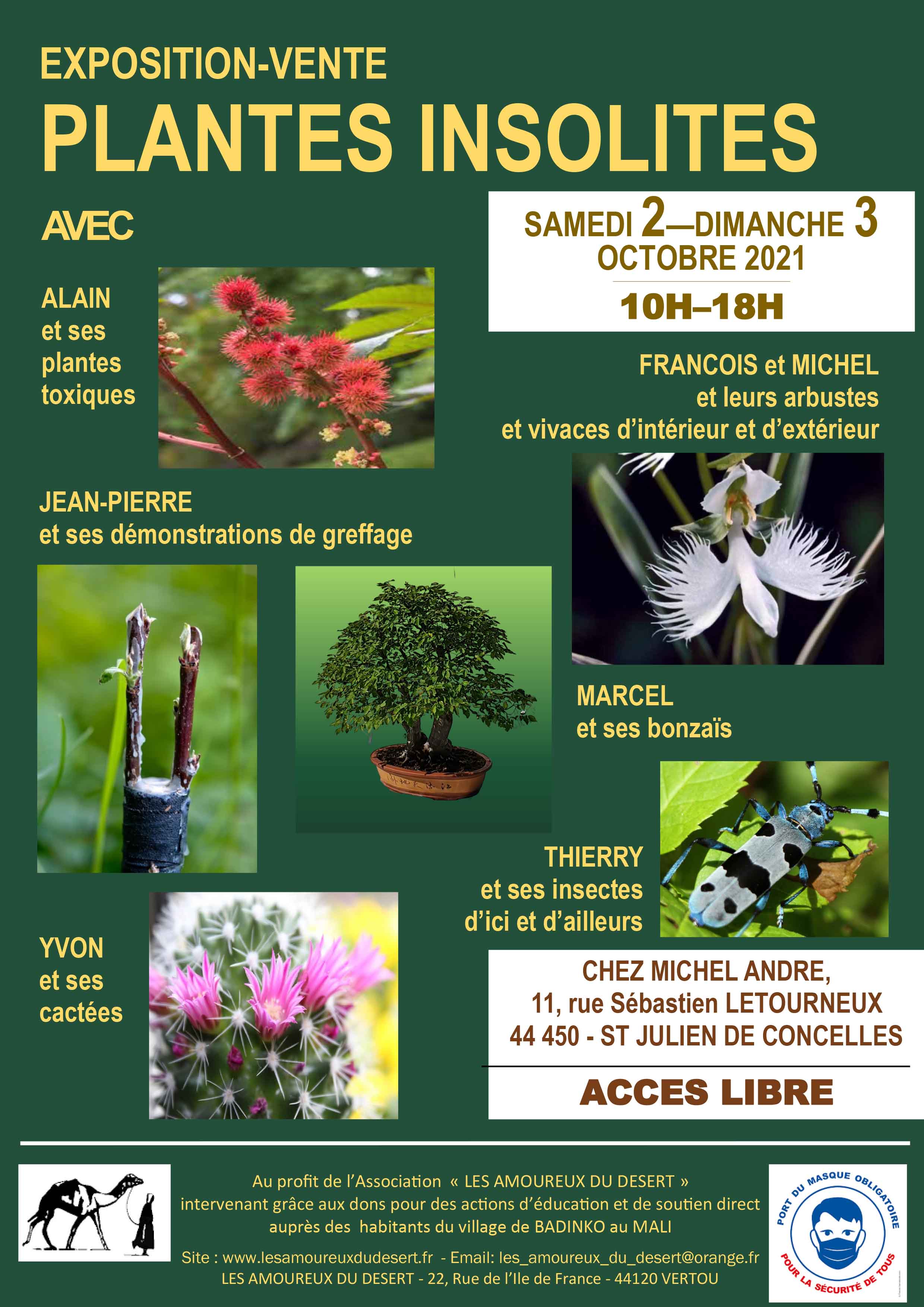 AFFICHE PLANTE INSOLITE 2021