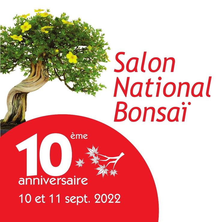 affiche 10 ans snb