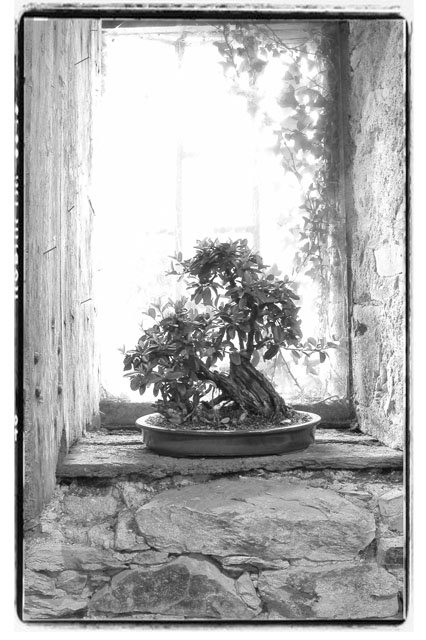 cantrie_2005