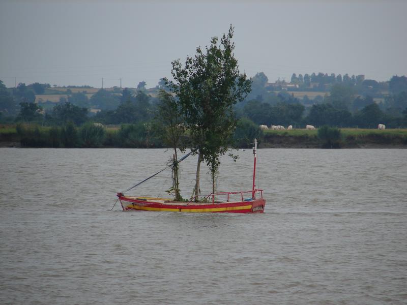 dsc03353