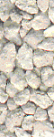 image8